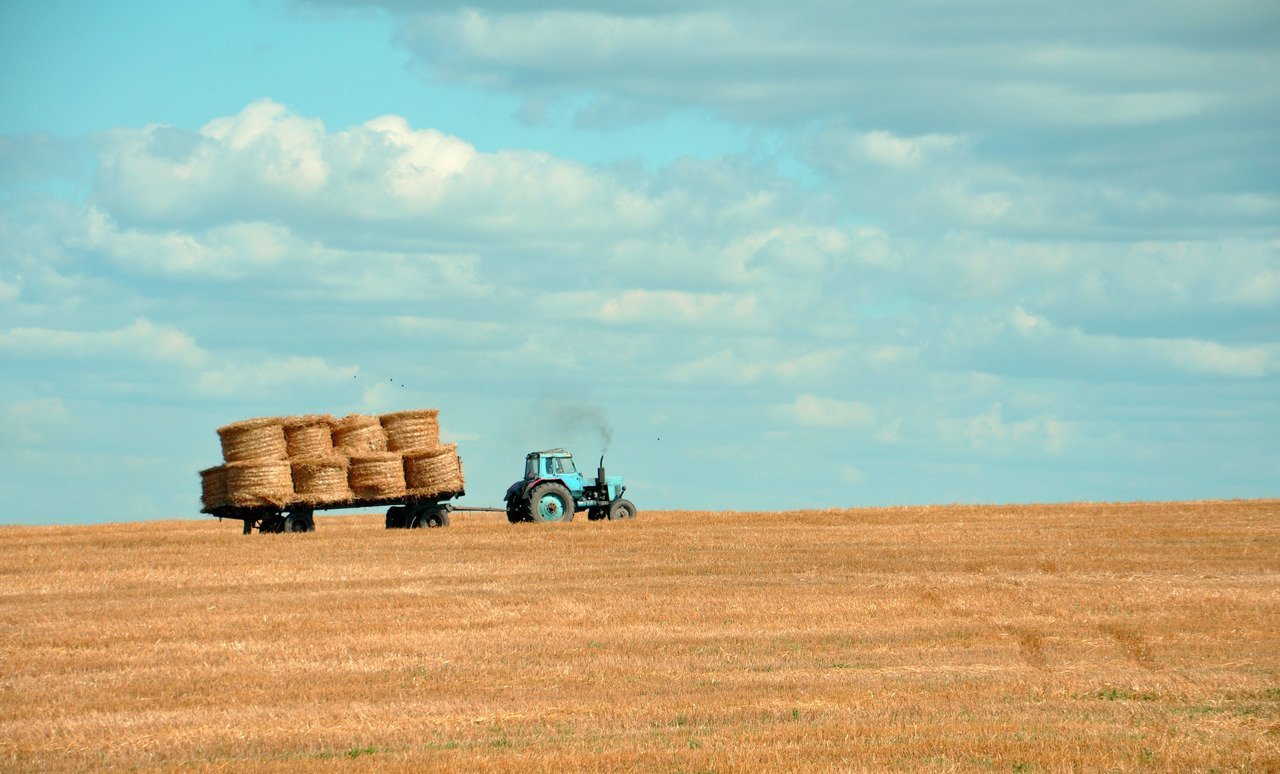 農業 匈牙利 勞動力短缺