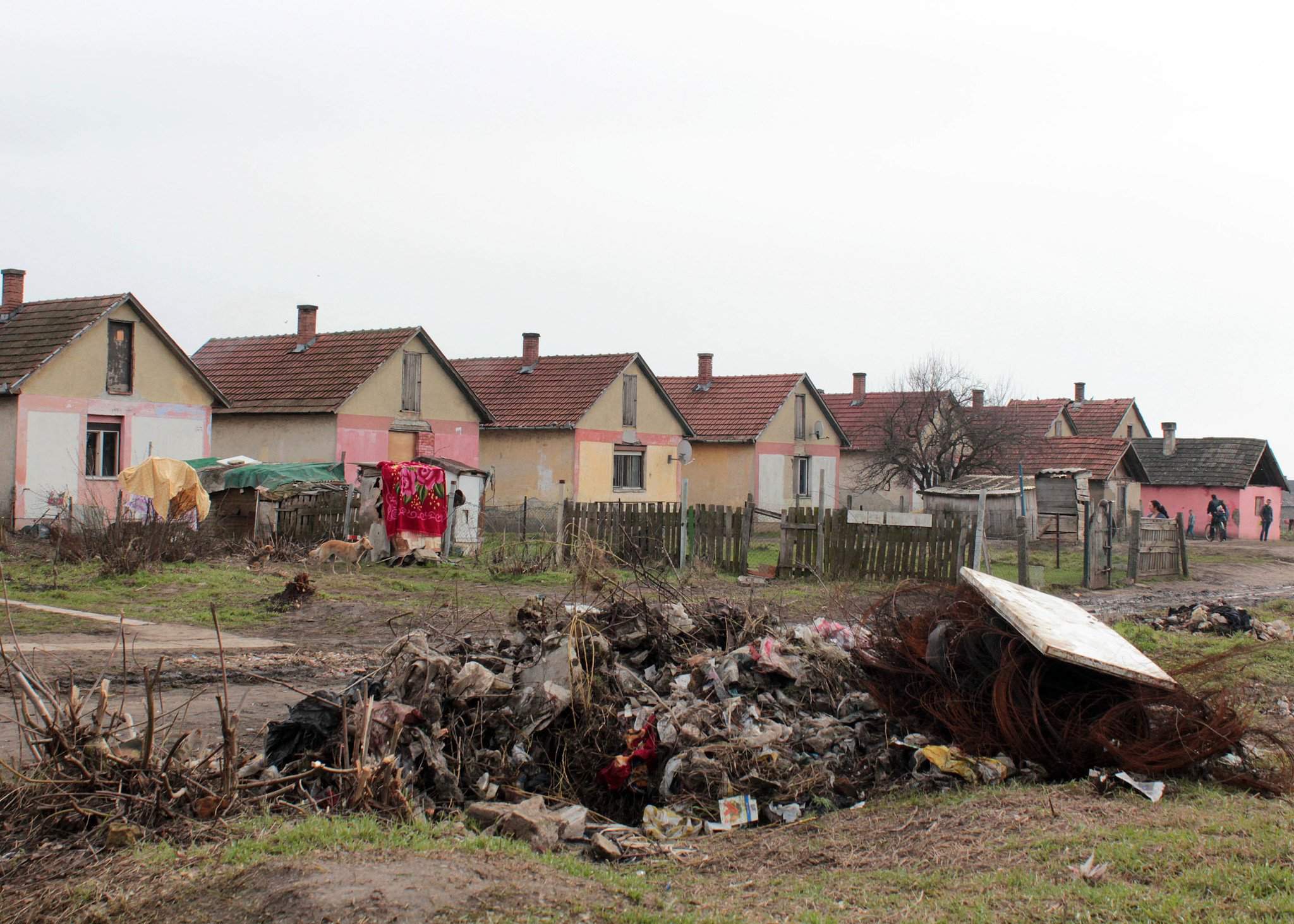 tiszavasvári distretto di roma