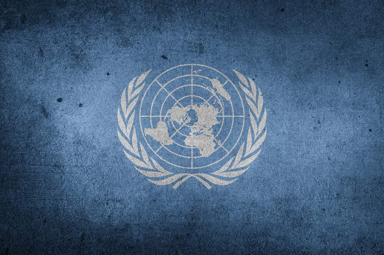 logotipo de las naciones unidas
