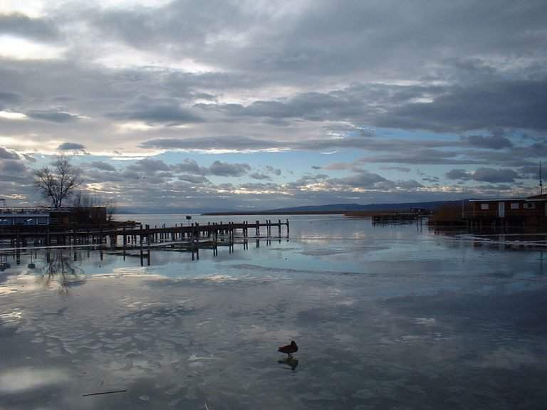 Lake Fertő Hungary