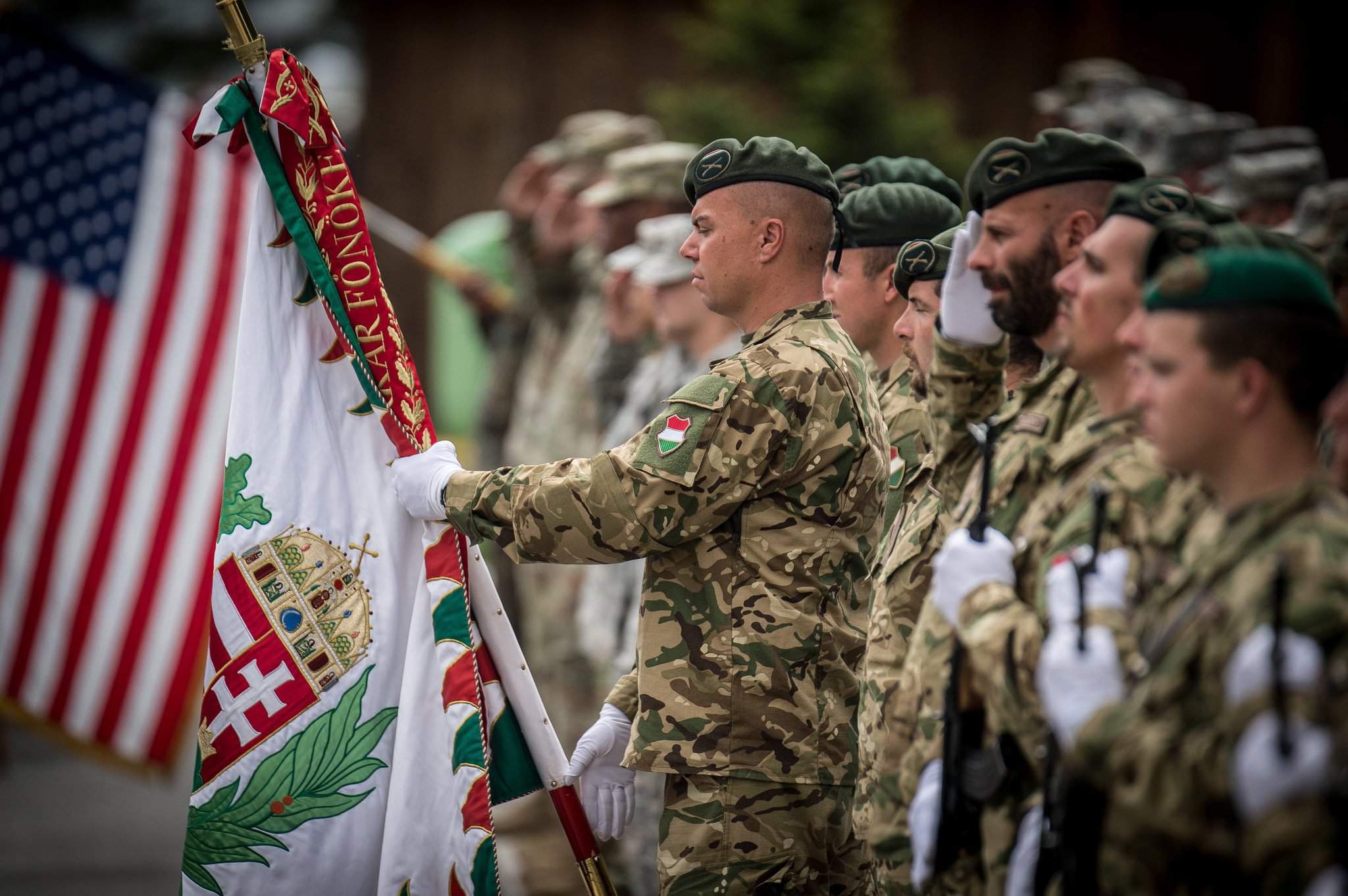 Силы обороны Приштины Венгрии