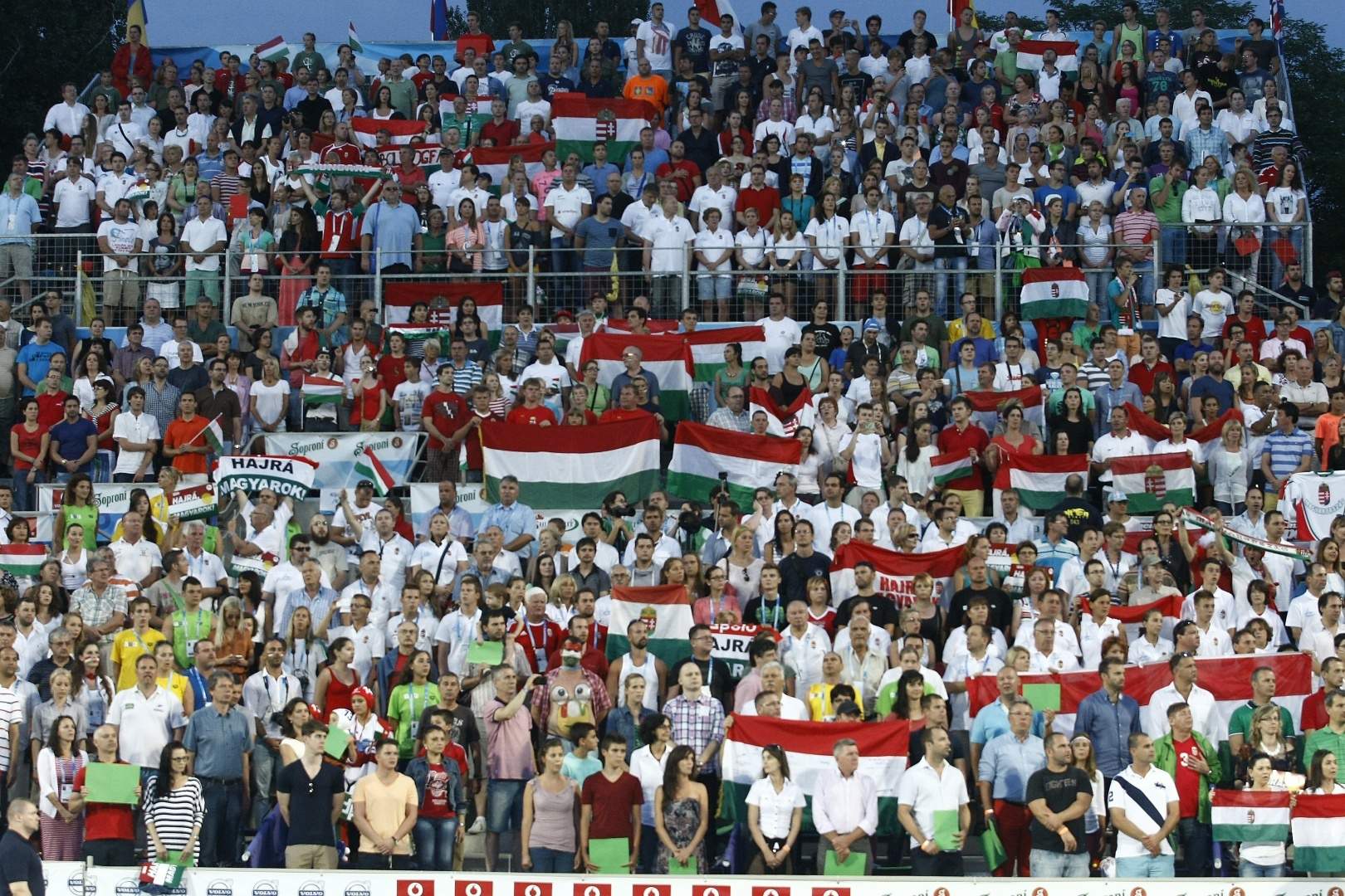 匈牙利人欢呼国际泳联水