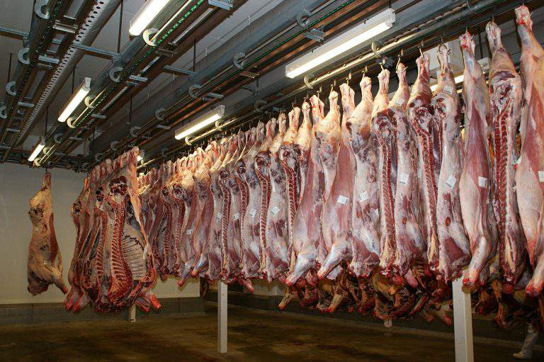 turkish slaughterhouse