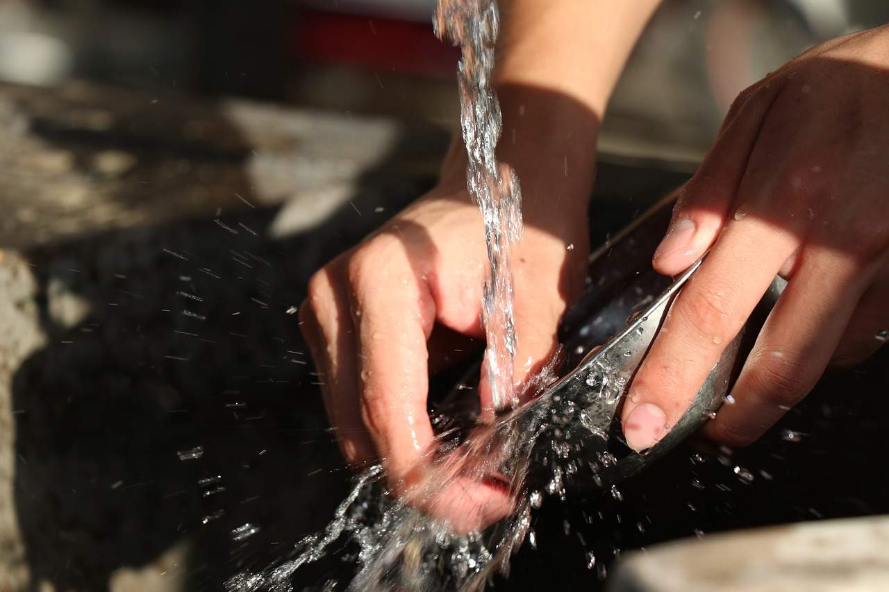 dish wash work labor