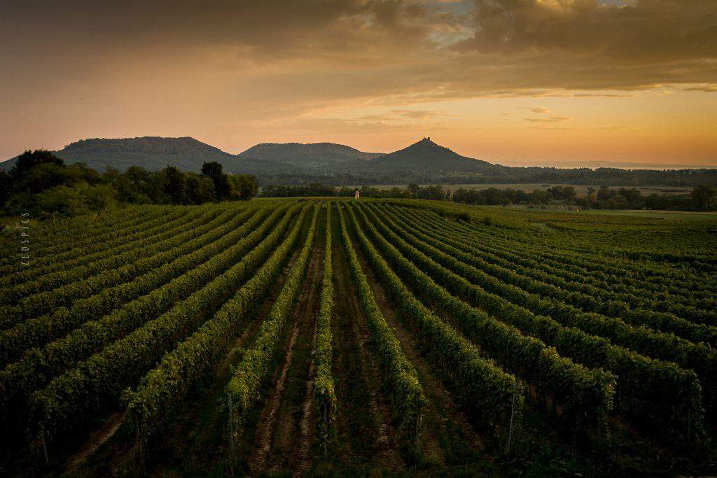 balaton