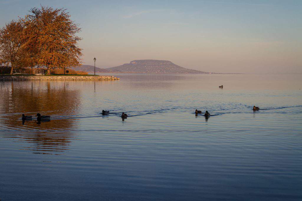 balaton landscape nature