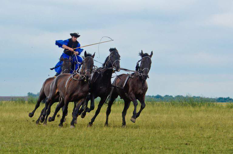 Hortobágy horse betyár