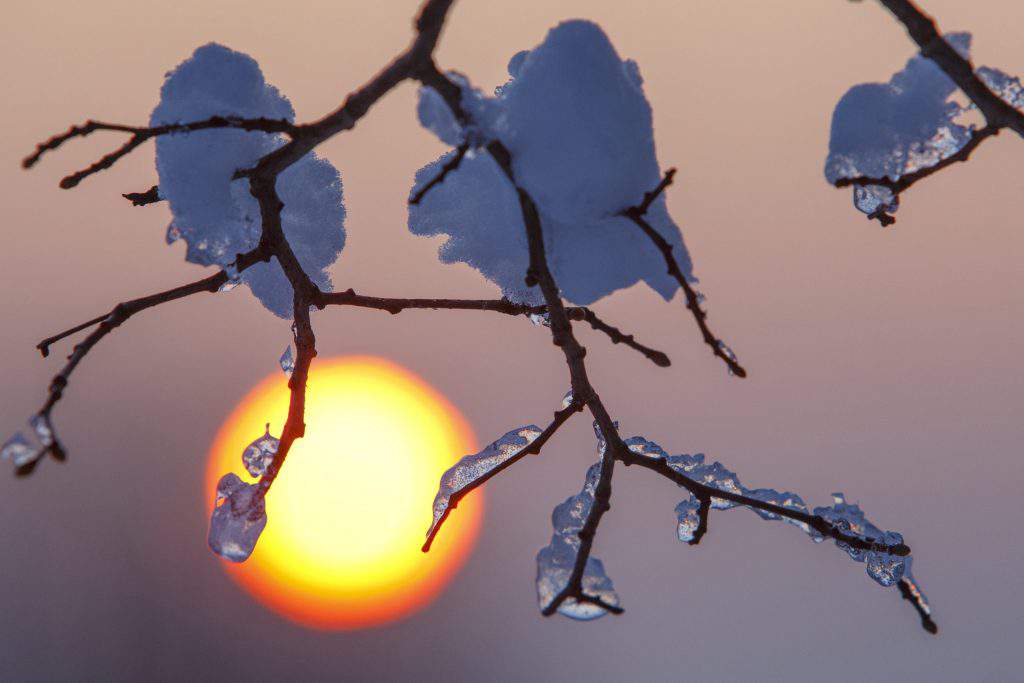 winter weather nature Hungary