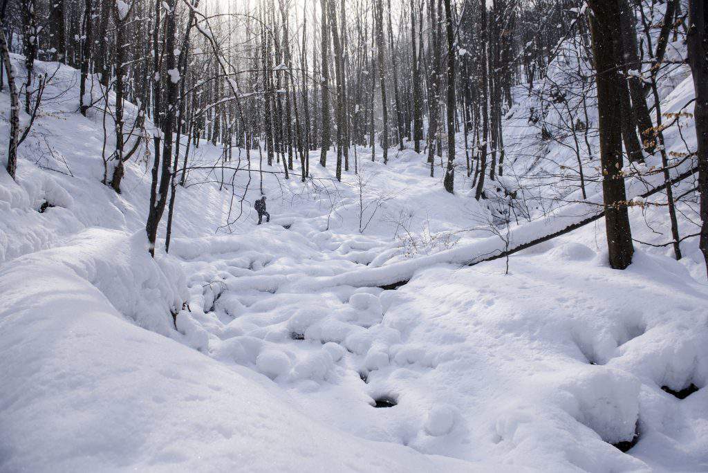 winter weather nature Hungary