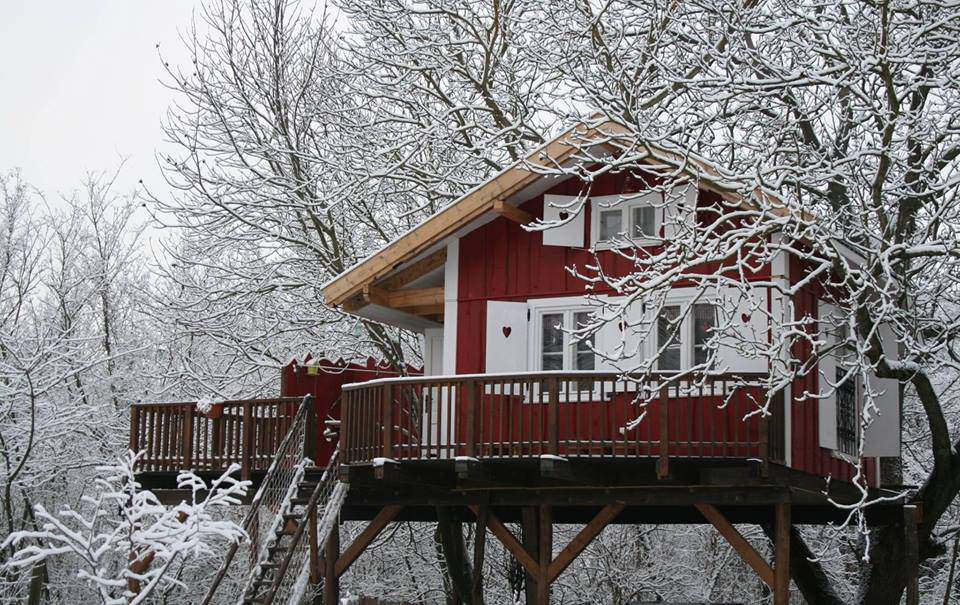 Treehouse ubytování v přírodě