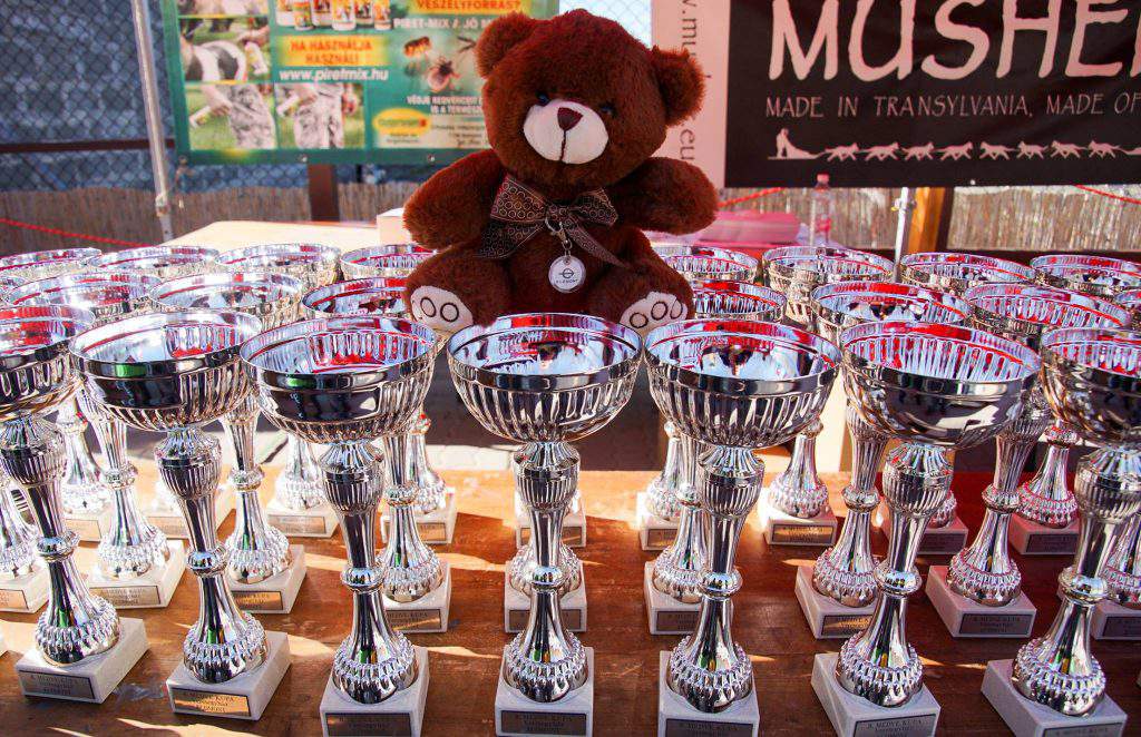 bear farm Veresegyháza zoo prize award