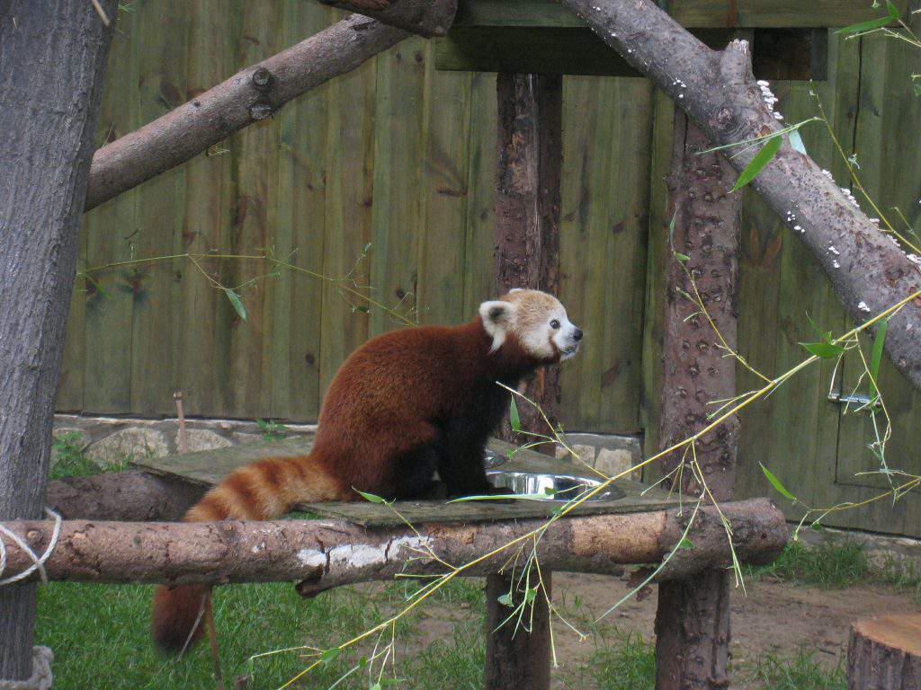 Nyíregyháza zoo