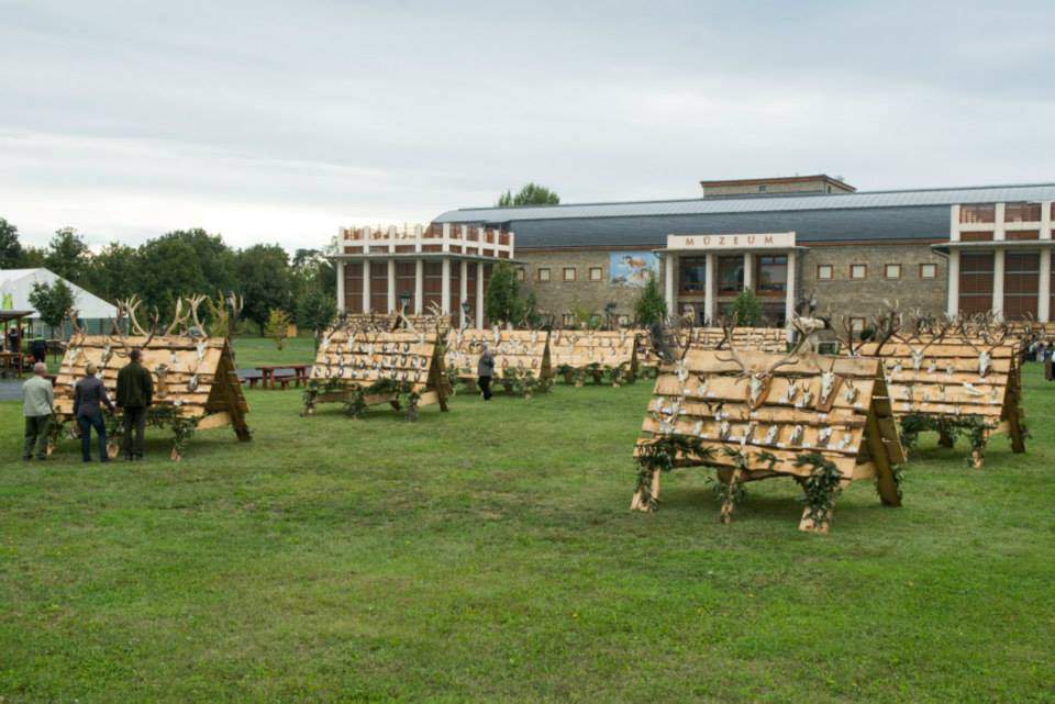 Keszthely múzeum museum vadászati hunting