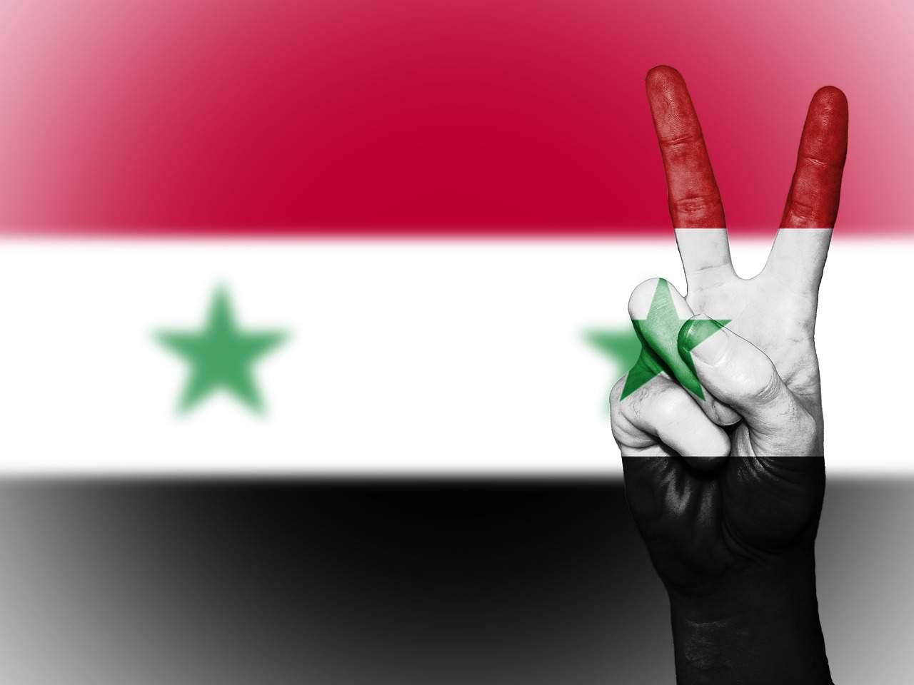 bandiera della siria