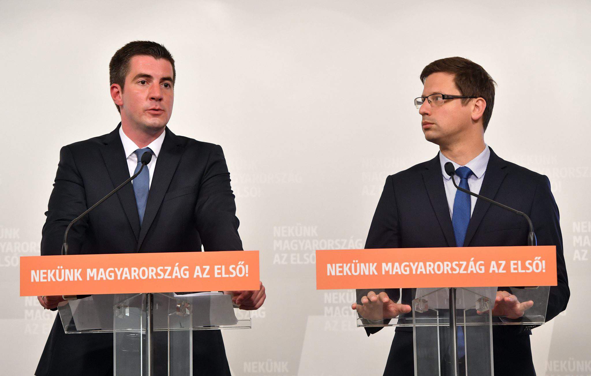 Fidesz-Fraktion