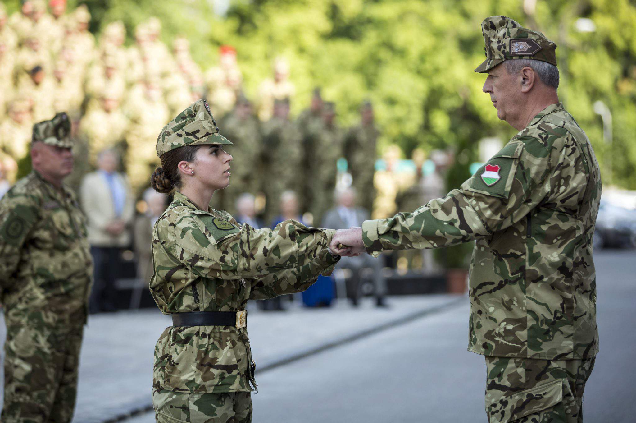 defence forces hungary