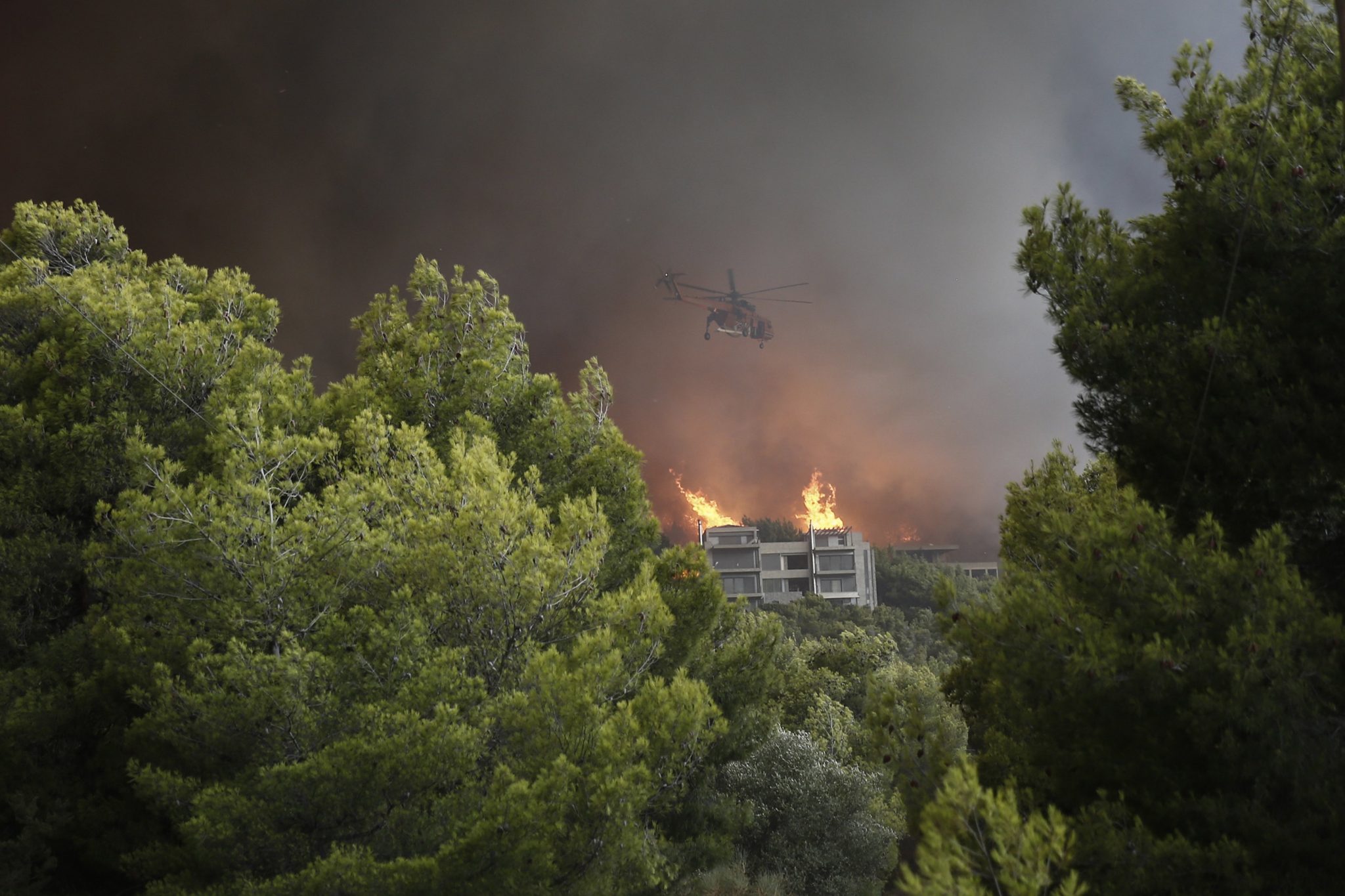 Incendio boschivo in Grecia