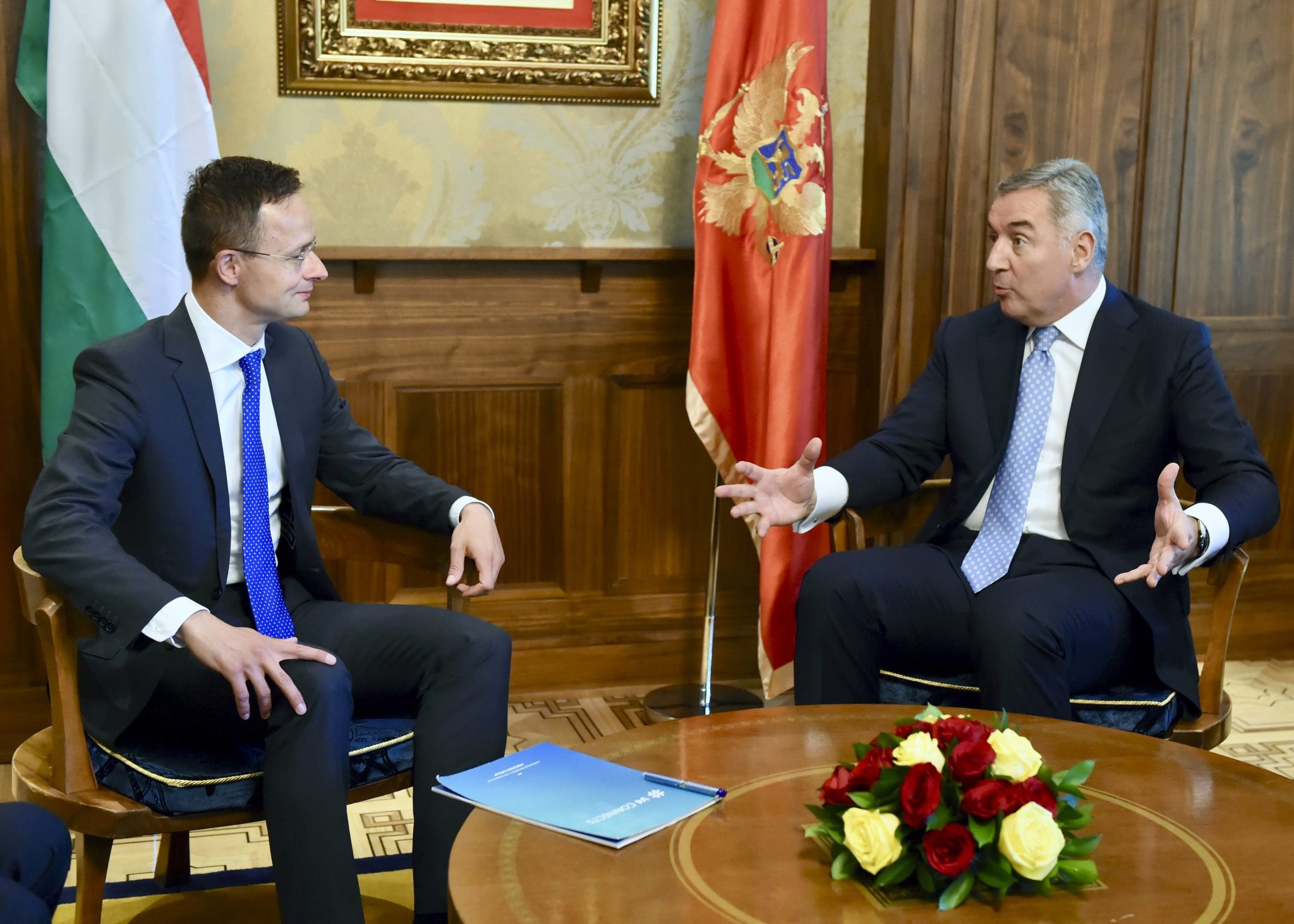 Montenegro foreign minister