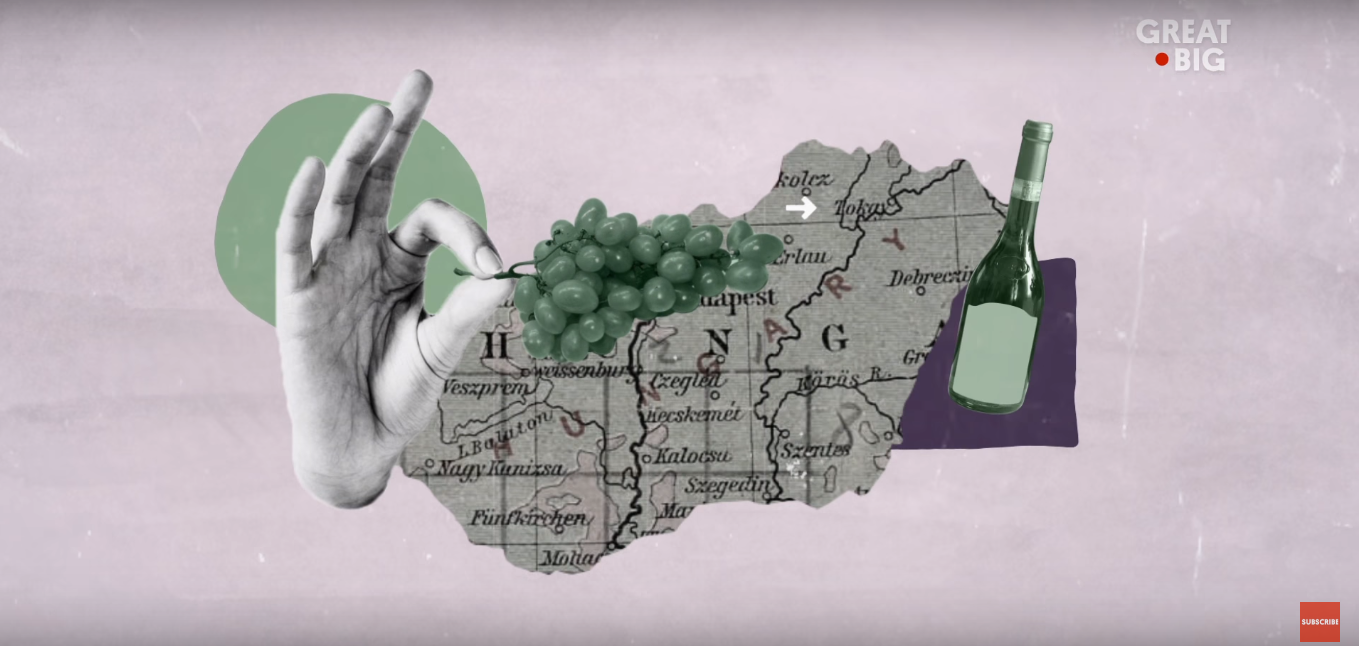 Video vinařské oblasti Tokaj