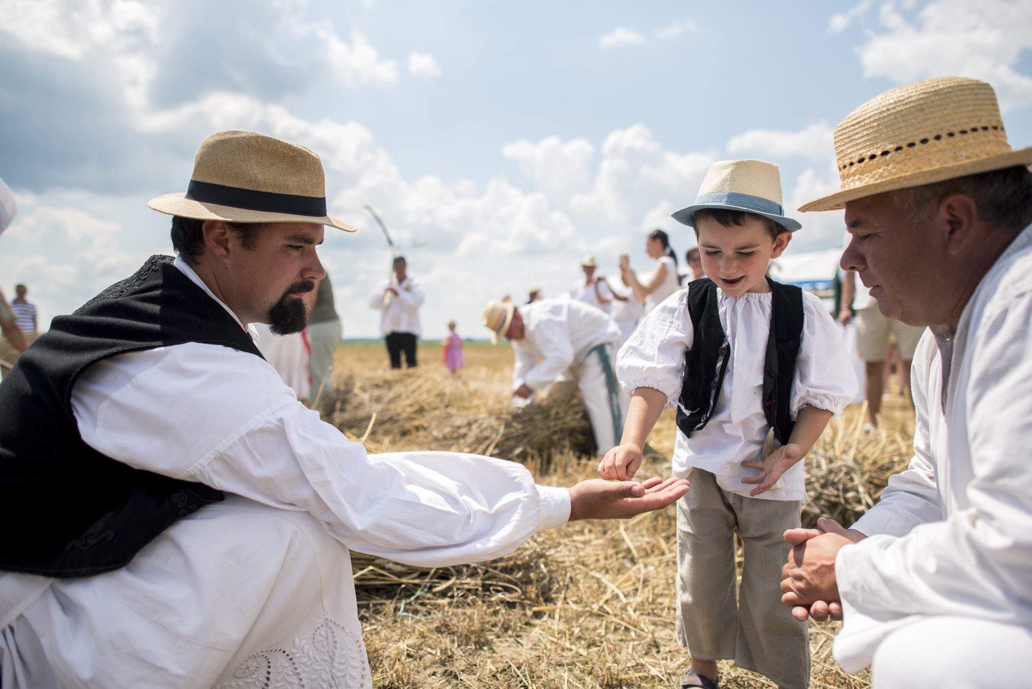 harvest hungary europe