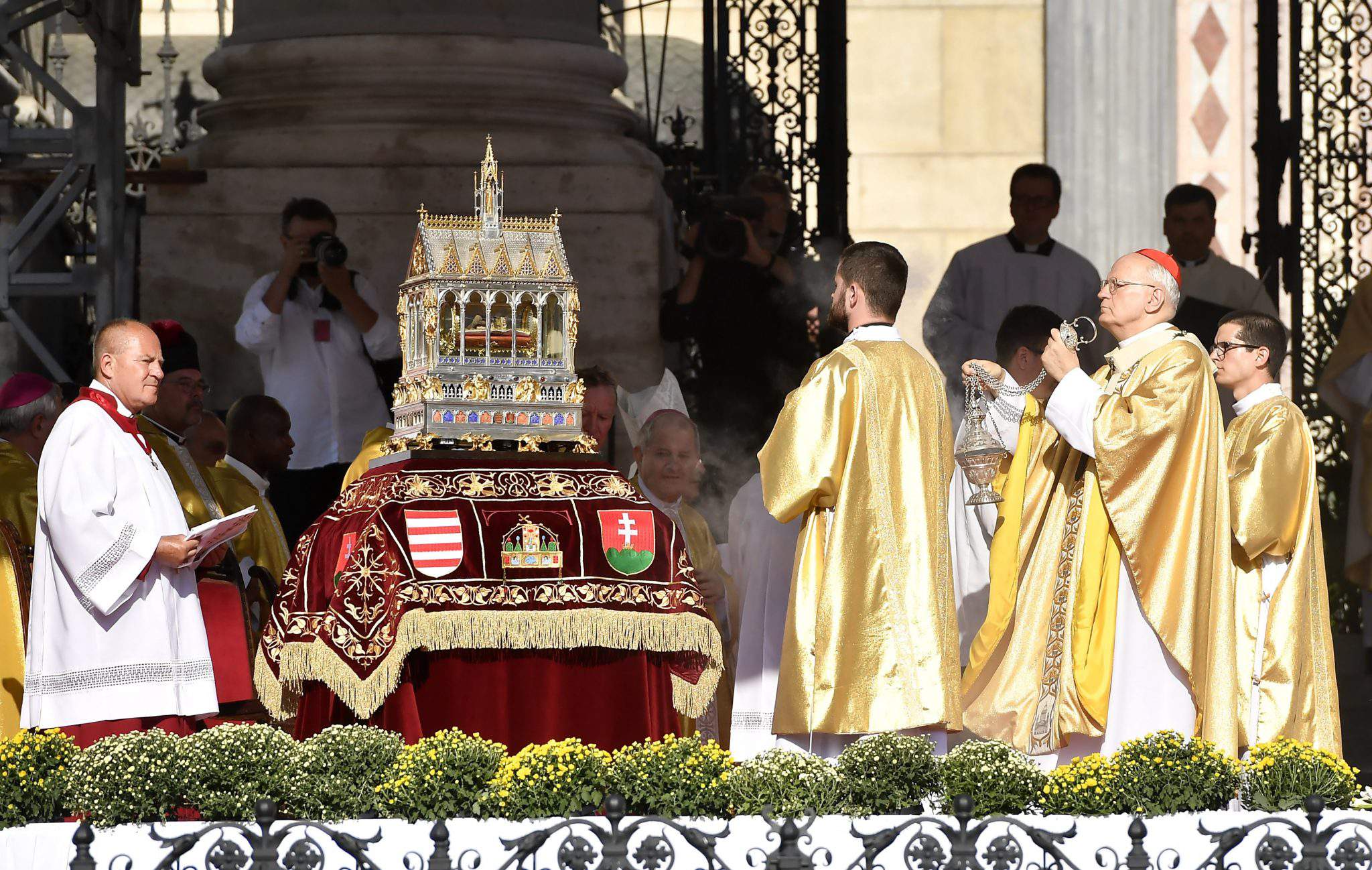 erdő cardinal