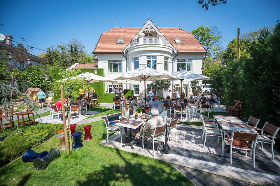 Budapest’s best chicken paprikash Restaurant Guide Daily News Hungary