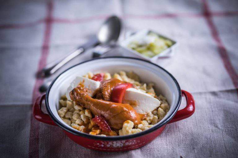 chicken paprikash -hungarian gastronomy