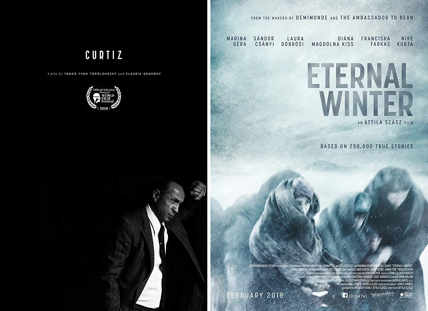 Curtiz, Eternal Winter (Örök Tél), Montreal film festival