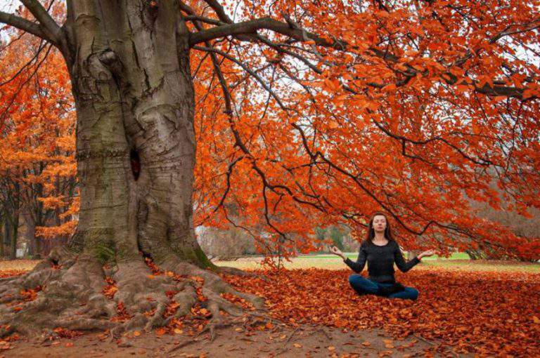 yoga autumn