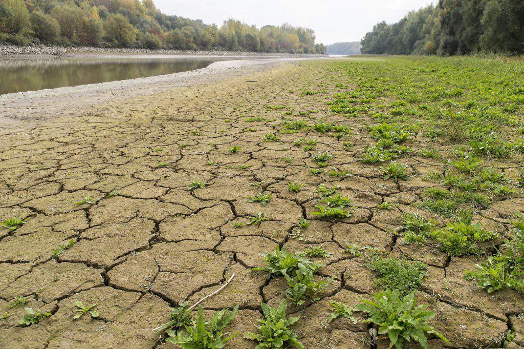 low water level Danube