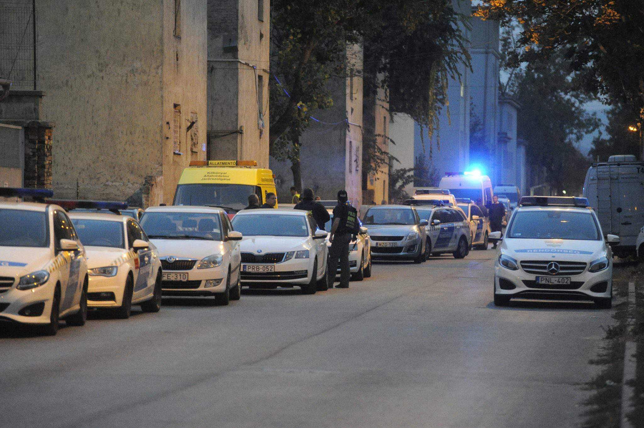 police raid in Hős utca