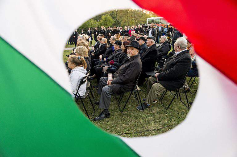 flag hungary 1956