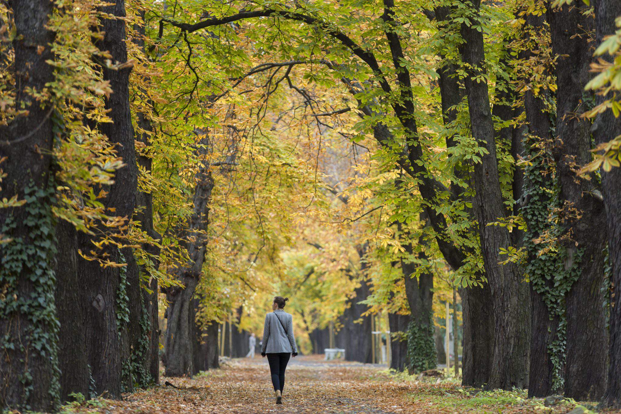 autumn Budapest