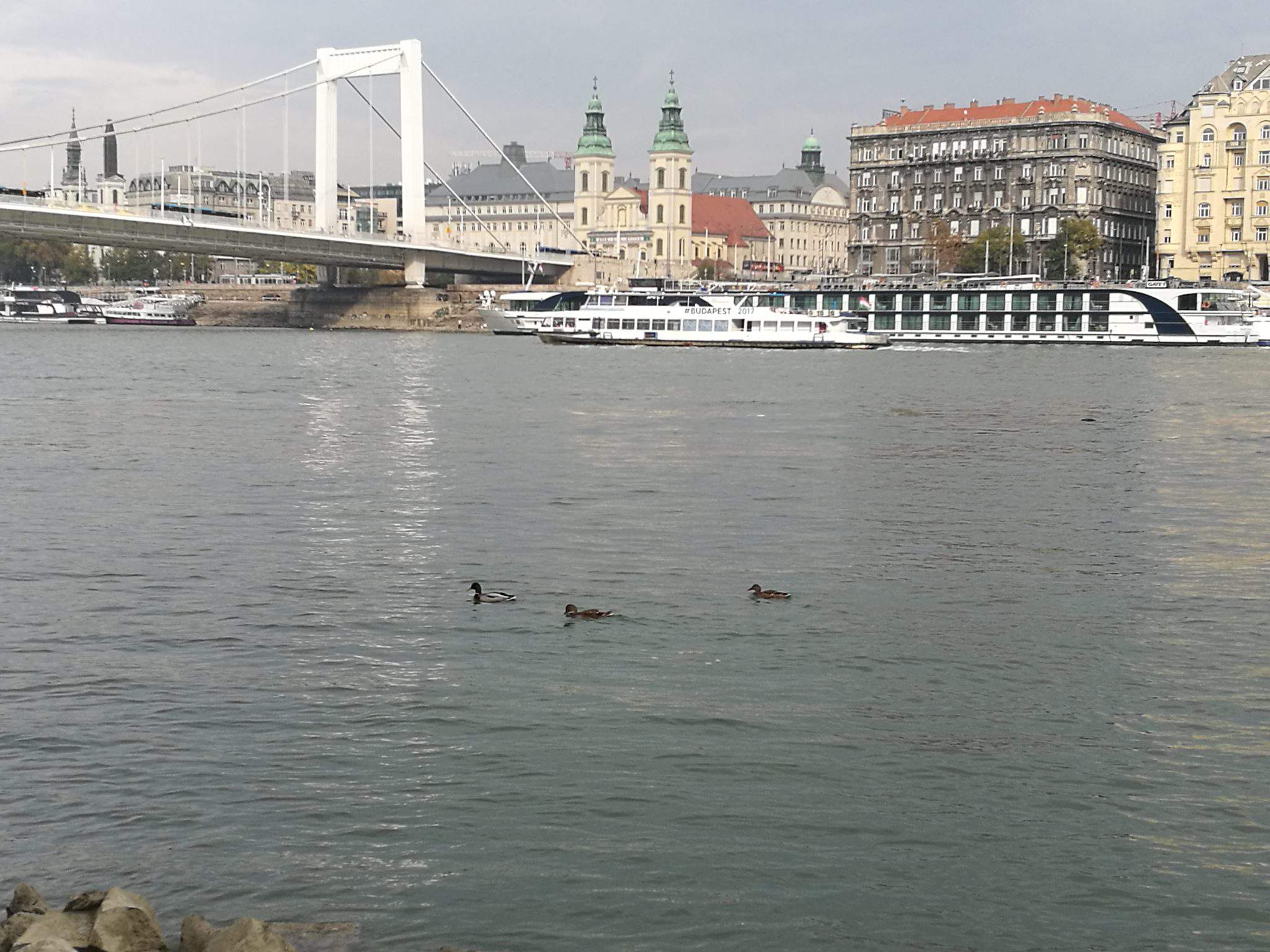 danube, bank, riverbank