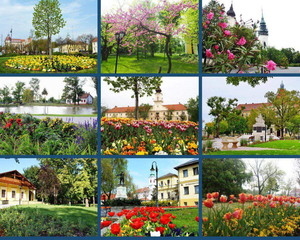 Nagykőrös, flowers, competition