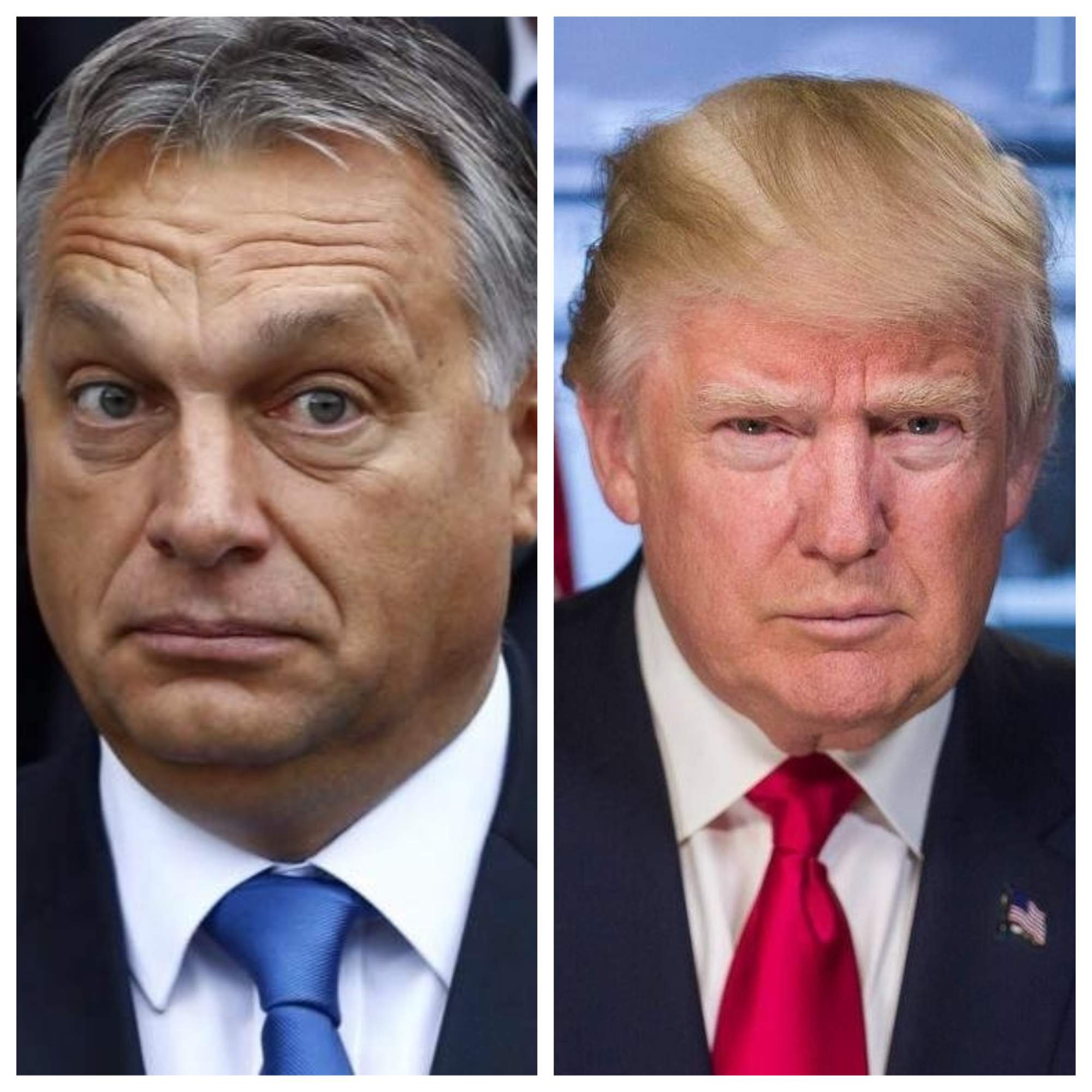 Орбан Трамп