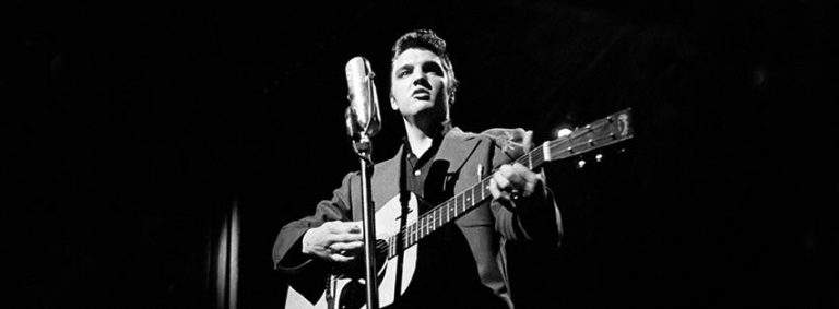 elvis, guitar, concert, show