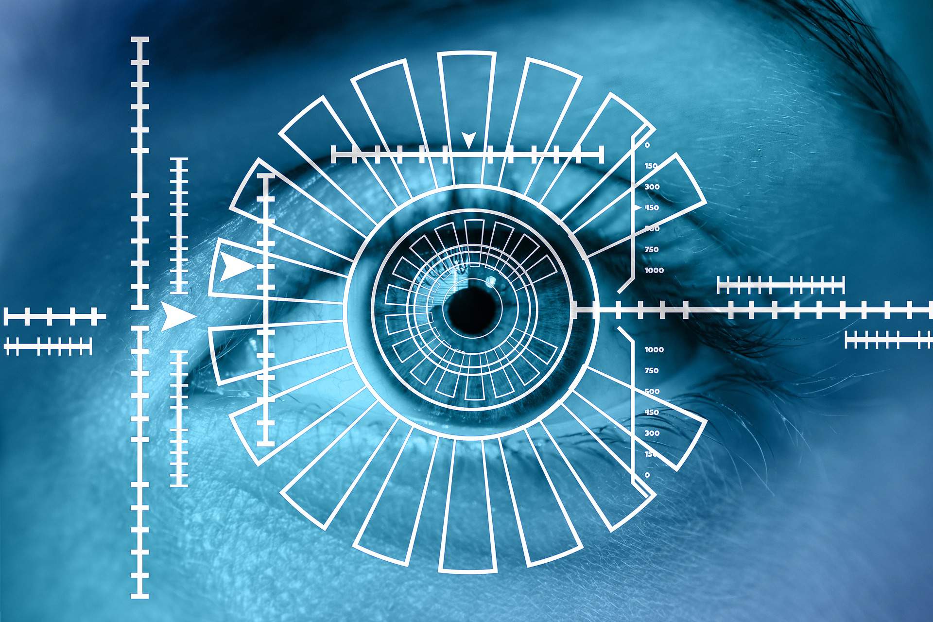 Biometric Data Iris Scan