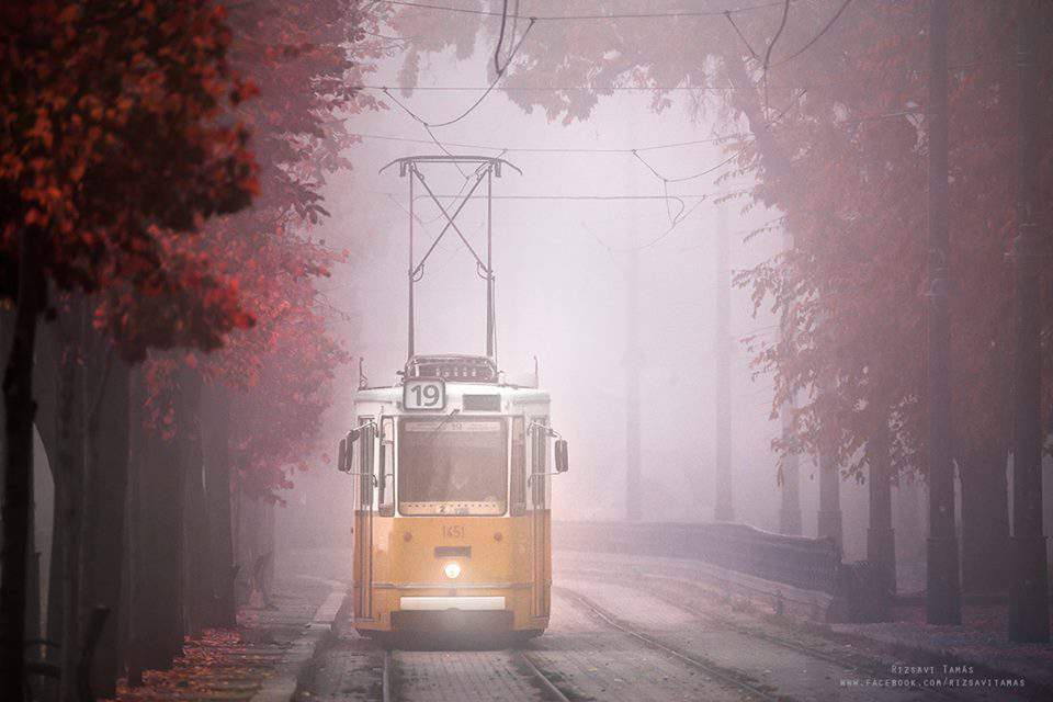 brouillard Budapest