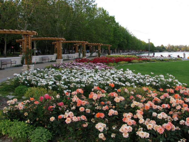 promenade, balaton, lake