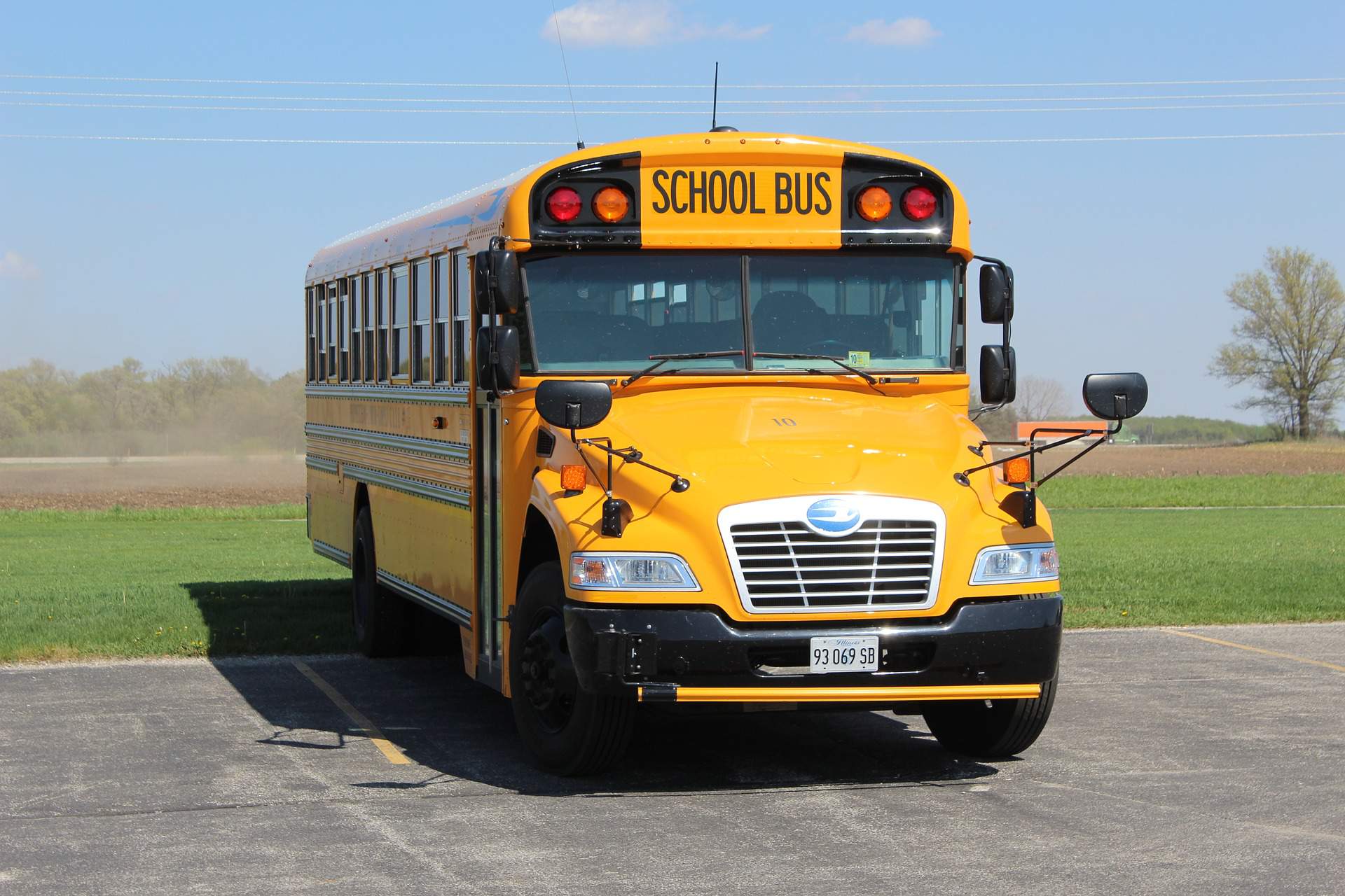 school bus, bus, transport