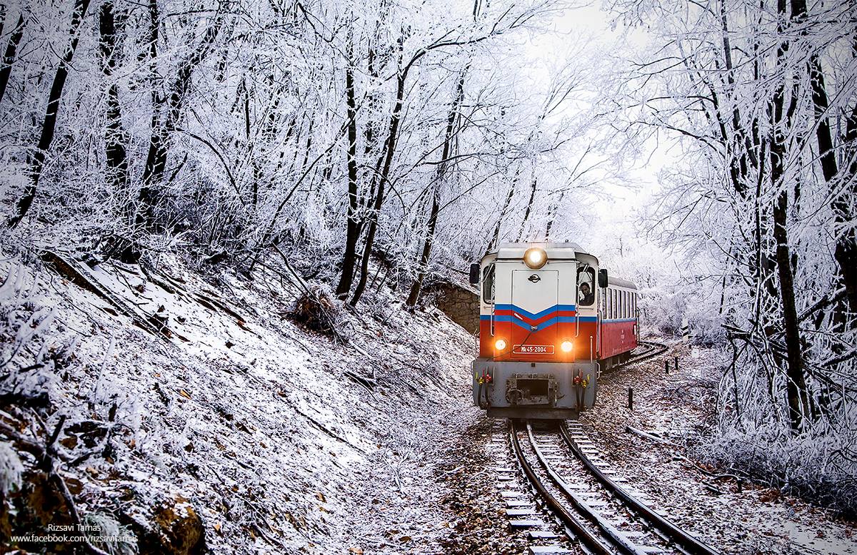 غابة قطار الشتاء الثلجي في بودابست