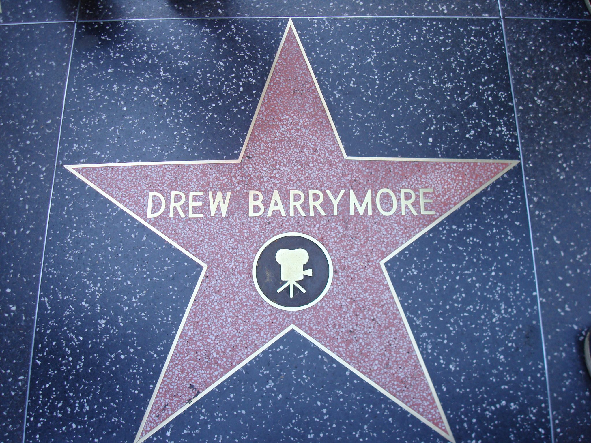 德鲁·巴里摩尔，好莱坞大道星光大道上的明星。
