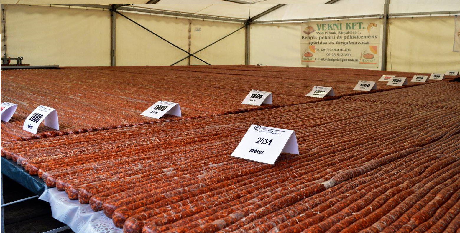 #венгрия #венгерская #деревня побила мировой рекорд, самая длинная колбаса