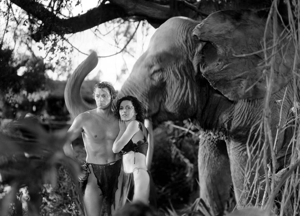 Weissmuller, Tarzan, elephant, movie, Hollywood