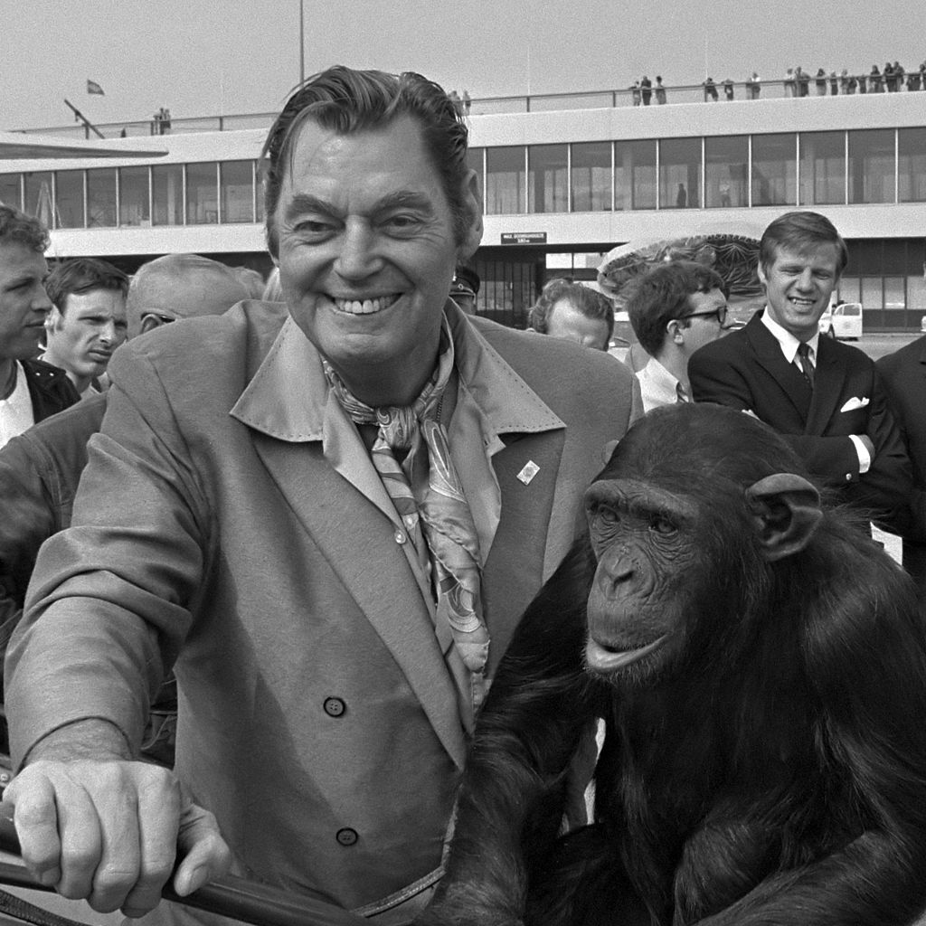 Weissmuller, monkey, chimpanzee, airport, actor