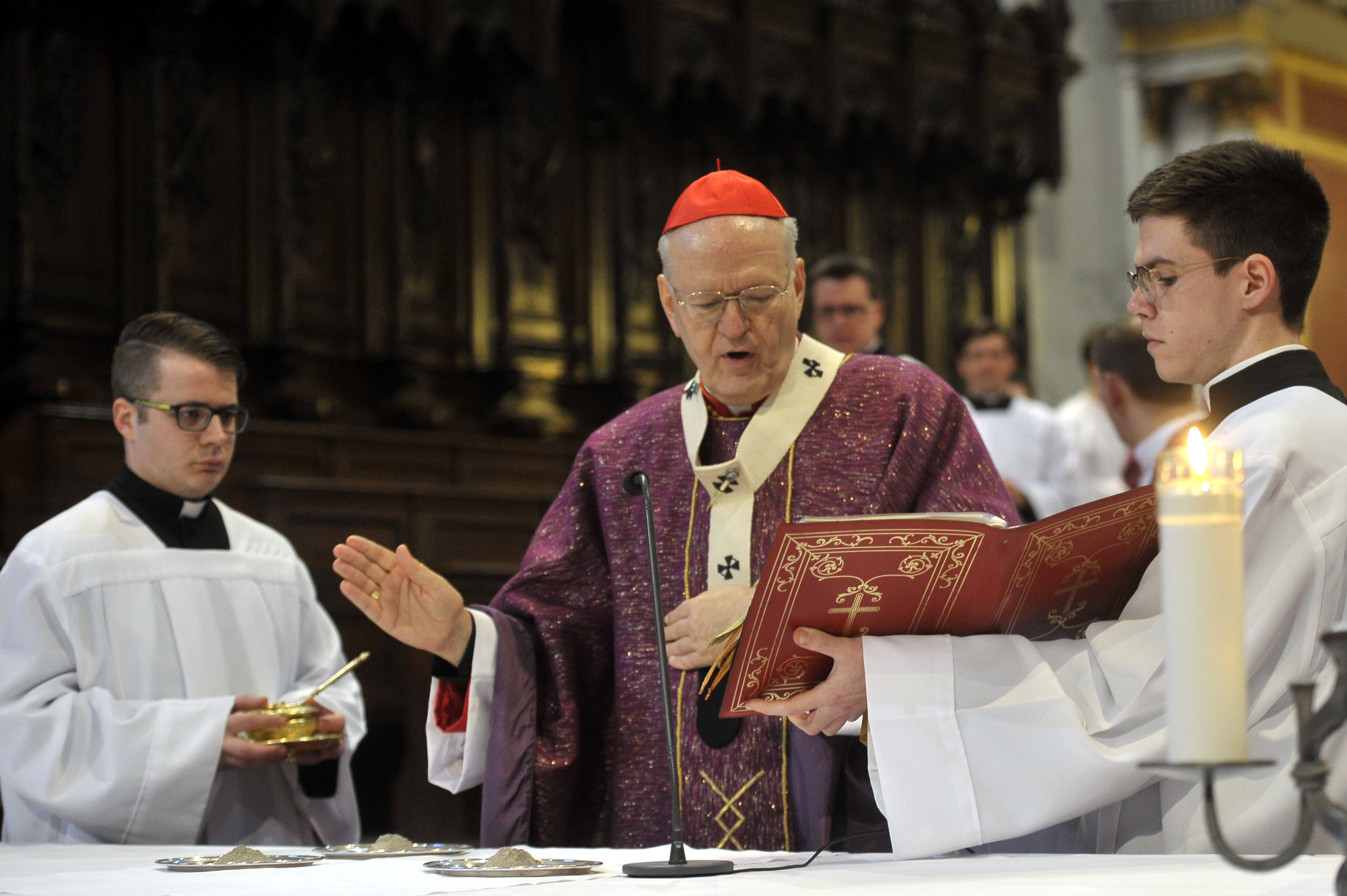 Cardinal Erdő