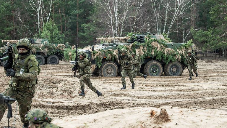 Hungarian Defence Forces, military, soldiers, Hungary