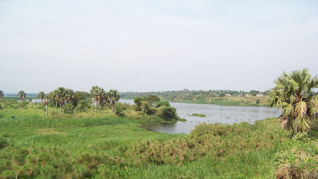 Lake Albert, Africa, nature, Nile