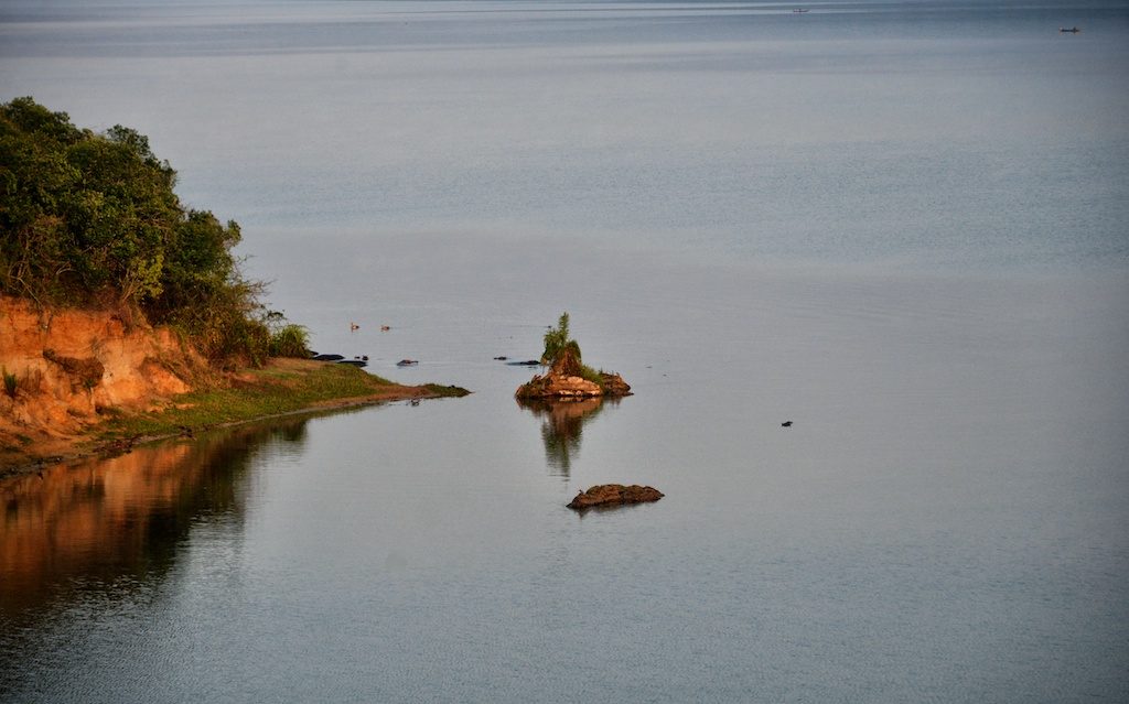 Lake Albert, Africa, nature, Nile